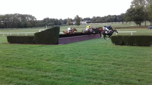 Hippisme : Nos préférés pour ce dimanche 4 octobre