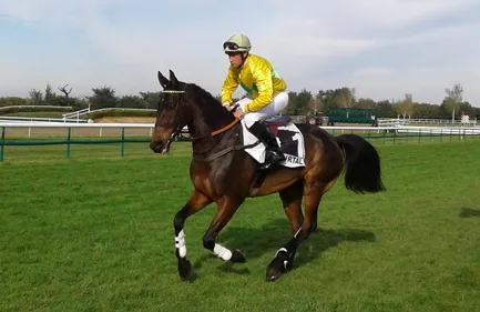 Hippisme : Nos préférés pour ce samedi 17 octobre