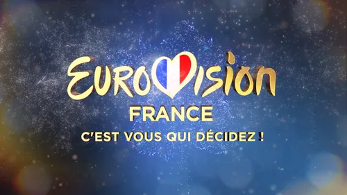 "EUROVISION FRANCE, C’EST VOUS QUI DÉCIDEZ" : Notre sélection