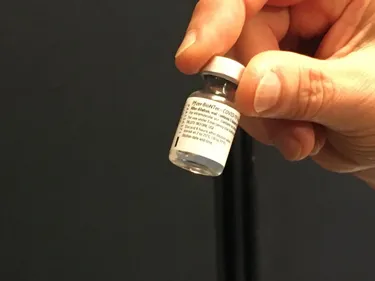 Vaccination : pour qui, et quand, en Pays de la Loire ?