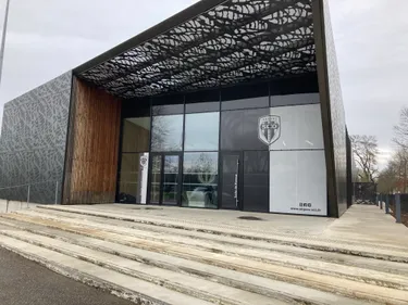 Football. Ligue 1 (26e journée). Stéphane Moulin : "Après 25...