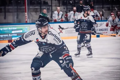 Ligue Magnus. Les Ducs d'Angers attendent Briançon et Gap