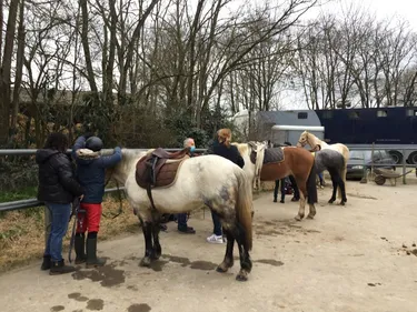 En Mayenne, des séances d'équitation pour des personnes en...