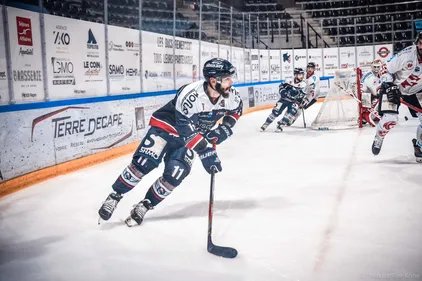 Hockey sur glace. Ligue Magnus : pas de playoffs, les Ducs d'Angers...