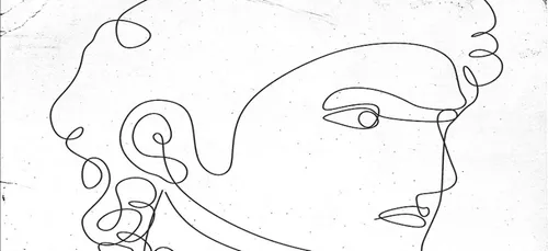 Coup de cœur FG : 'Fine Lines' de Felon