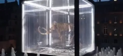 Strasbourg : Des œuvres d’arts géantes vont envahir la ville