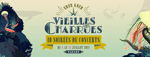 Le public finalement debout au festival Les Vieilles Charrues !