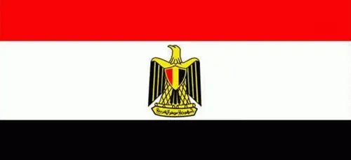 Egypte : arrestation d'Alaa Abdel Fattah