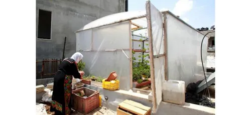 Des rÃ©fugiÃ©s palestiniens cultivent sur les toits pour ne pas...