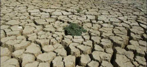 ONU: 2015 pourrait Ãªtre l'annÃ©e la plus chaude jamais enregistrÃ©e 