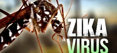 Zika: pas de tests de vaccins Ã  grande Ã©chelle avant au moins 18...