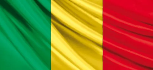 MALI 17 SOLDATS TUES