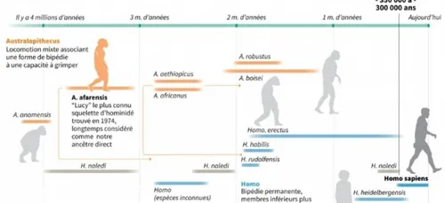 LE JOURNAL DU SOIR EN LANGUE FRANCAISE DU 9/6/2017