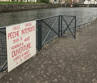 A Vire : Pollution de l'écluse