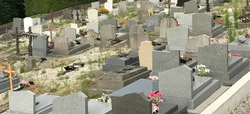POLÉMIQUE : LES HERBES FOLLES DANS LES CIMETIÈRES DE LA VILLE DE VIRE