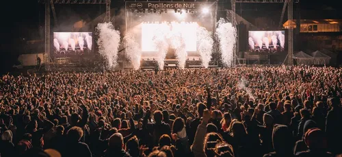 les 20 ans des Papillons de Nuit reportés en 2021