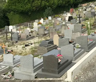 POLÉMIQUE : LES HERBES FOLLES DANS LES CIMETIÈRES DE LA VILLE DE VIRE