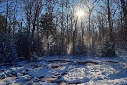 Vigilance orange épisode neigeux prévu dans notre région
