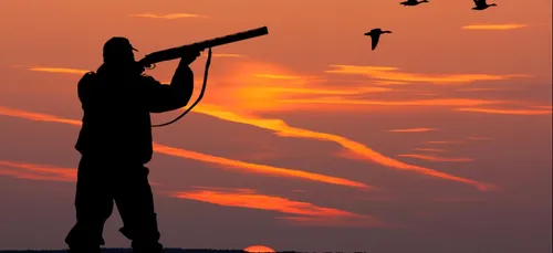 Près de Luçon, un adolescent tué dans un accident de chasse