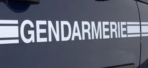 Le Landreau : un homme se tue en coupant du bois