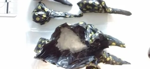 A Saint-Nazaire, un cocaïnomane de 20 ans roulait sans permis et...