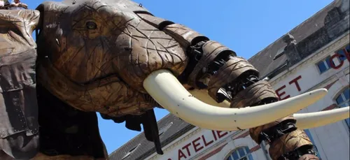 Emploi :  qui veut piloter l'éléphant nantais ?