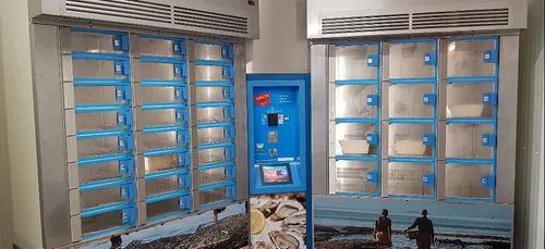 Un distributeur d’huîtres installé aux Moutiers-en-Retz