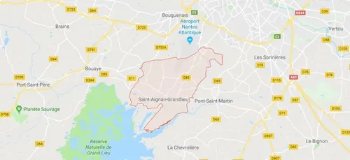 NDDL : le maire de Saint-Aignan-de-Grand-Lieu s'en remet au Conseil...