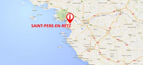 Grippe aviaire : 4 200 canards abattus dans le Pays de Retz