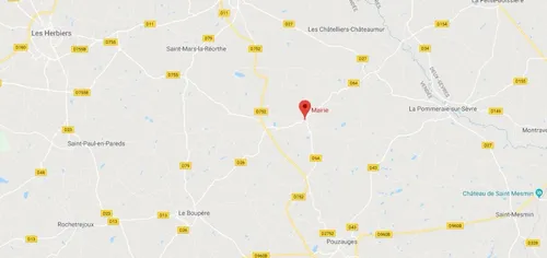 Vendée : 12 000 canards confinés à Sèvremont