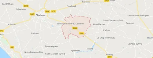 Un cas de grippe aviaire à Saint-Christophe-du-Ligneron ?