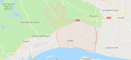 Donges : une cagnotte solidaire pour un chien torturé