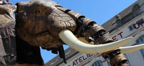 Nantes : l'éléphant ne sortira pas avant vendredi !