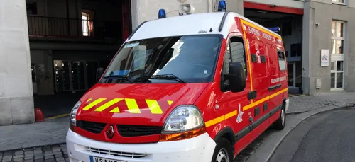 Des vaches percutées par un camion au Pellerin