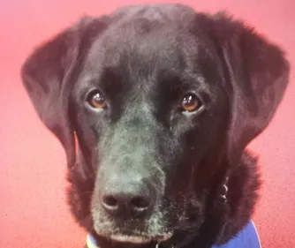 La police nantaise lance un appel à témoins pour retrouver un...