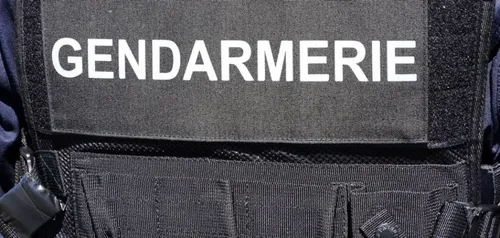 Basse-Goulaine : un jeune homme de 25 ans soupçonné d'avoir...