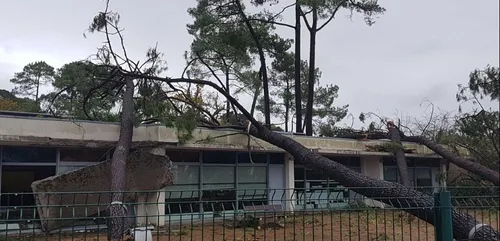 Des dégâts après d'importants coups de vent en Loire-Atlantique et...