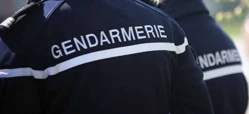 Bouguenais : à 14 et 15 ans, ils tentent de semer les gendarmes, à...