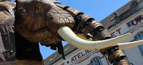 Nantes : qui veut devenir pilote du Grand Éléphant des Machines de...