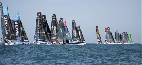 Solo Maitre CoQ 2019