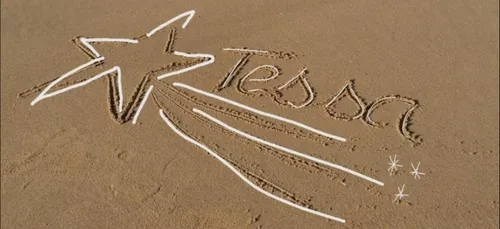 Saint-Julien-de-Concelles : une marche blanche samedi pour Tessa,...