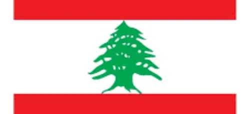 Nantes : La ville solidaire du Liban