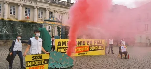 Nantes : Greenpeace dénonce l'inaction de la France dans les feux...