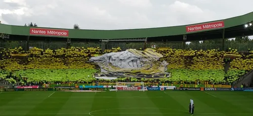 FC Nantes, HBC : 1 000 personnes lors des matchs à domicile, le...