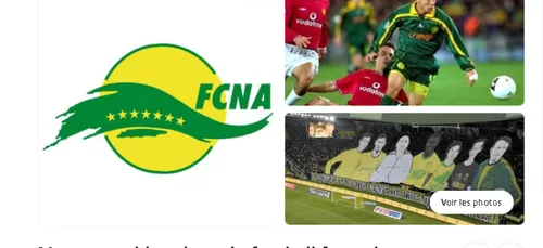 FC Nantes : un supporter dépité cherche un repreneur pour le club...