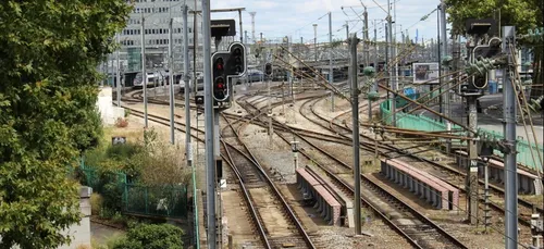 Après une chute d'arbre, trafic SNCF très perturbé sur l'axe entre...