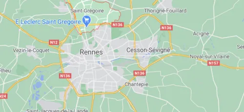 Ille-et-Vilaine : la promenade insolite d'un taureau à Saint-Grégoire