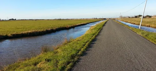 Arsenic dans le marais breton : une plainte bientôt déposée