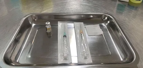 Témoignage. Un an après l'apparition du covid, plongée dans le...