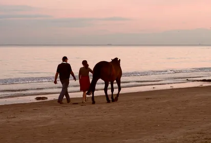 Chiens et chevaux interdits sur les plages de Pornichet cet été !